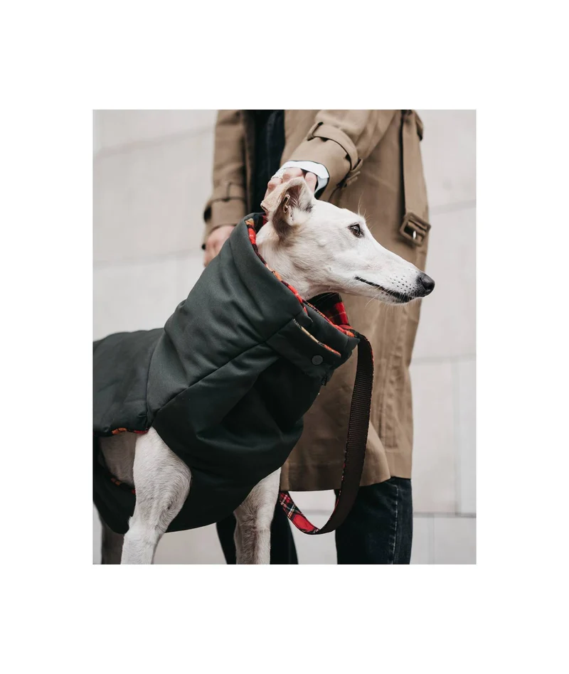 Manteau d'hiver pour lévriers