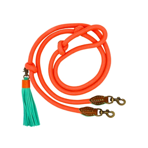 Laisse corde pour chien – Orange Carrot Cake vitaminé & réglable