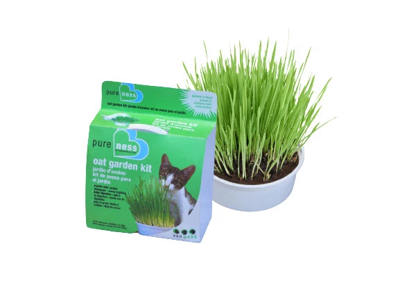 VAN NESS Herbe à Chat Jardin d’Avoine 28g