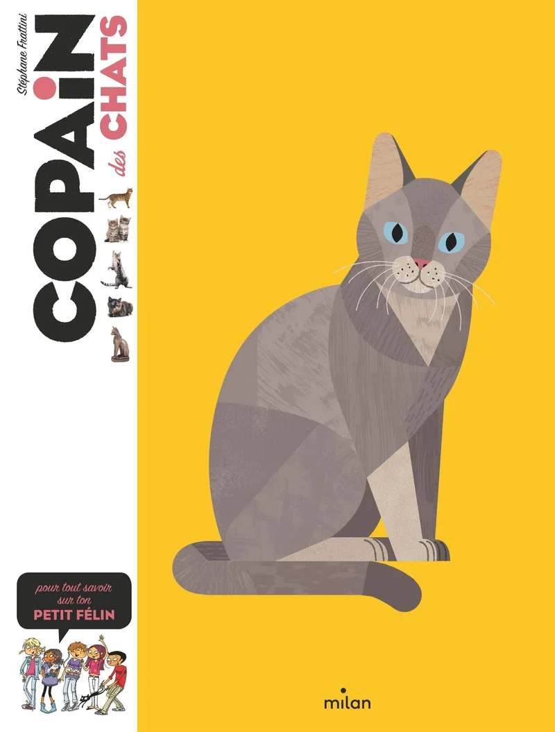 Livre enfant chat – Copain des chats dès 8 ans