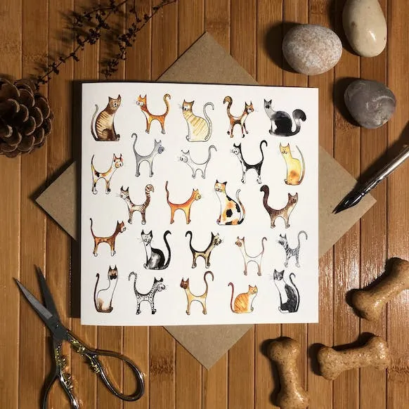 Carte - Cats