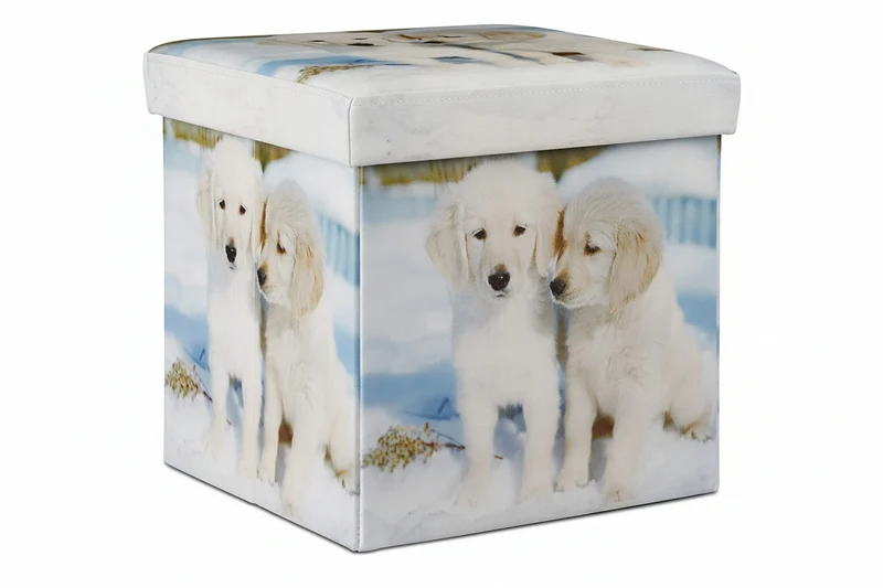 Tabouret avec rangement motifs pouf cube pliant pliable rembourré synthétique 13_0002758